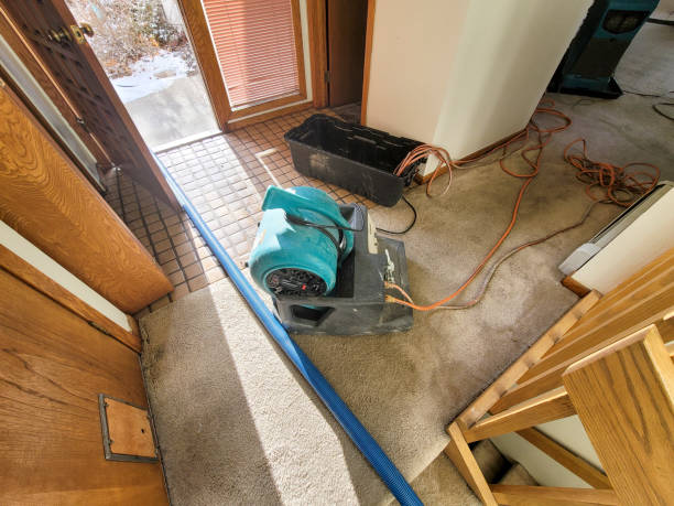Best Flooded house restoration  in Saltillo, MS