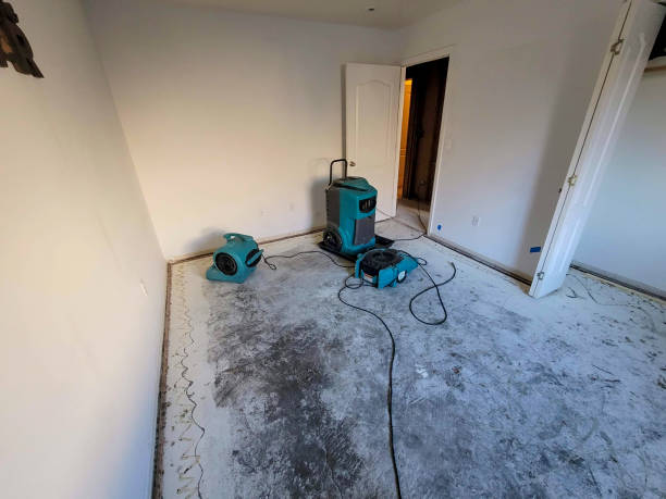 Best Sewage cleanup and water damage restoration  in Saltillo, MS
