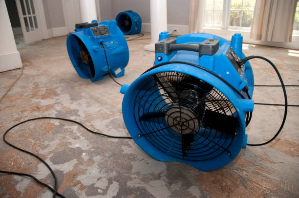  Saltillo, MS Water damage restoration Pros