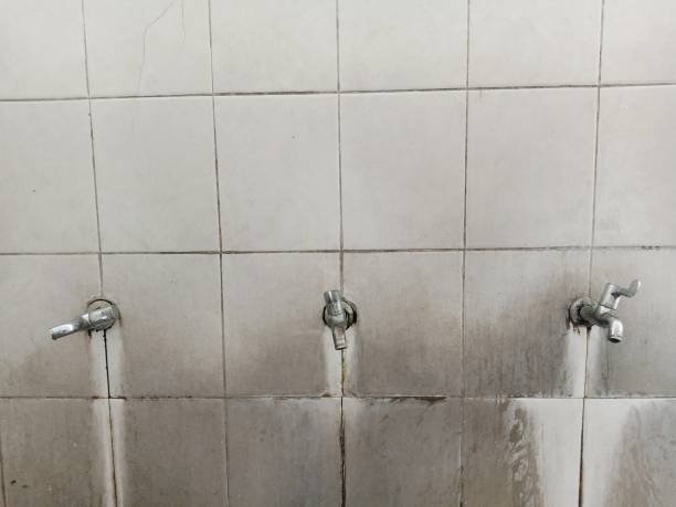 Best Water damage restoration experts  in Saltillo, MS