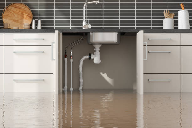 Best Local water damage restoration  in Saltillo, MS