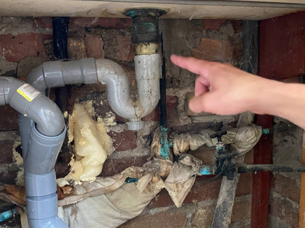 Best 24-hour water damage restoration  in Saltillo, MS